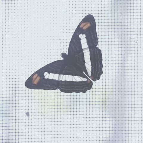 AI Powered Development